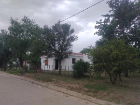 Panaholma